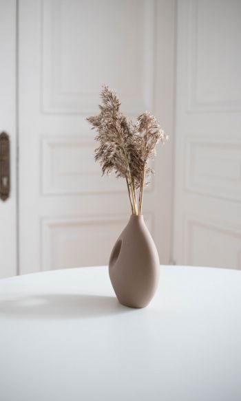 aesthetic beige, interior, vase Wallpaper 1200x2000