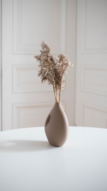 aesthetic beige, interior, vase Wallpaper 640x1136
