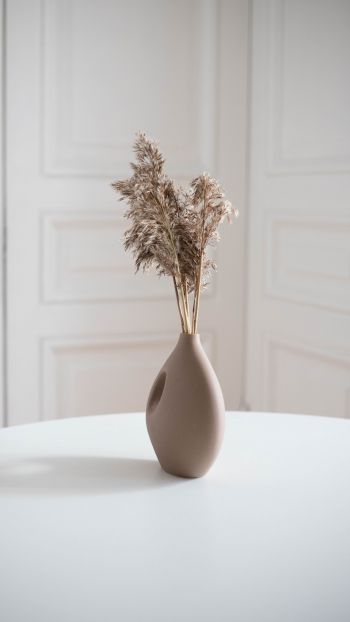 aesthetic beige, interior, vase Wallpaper 1440x2560