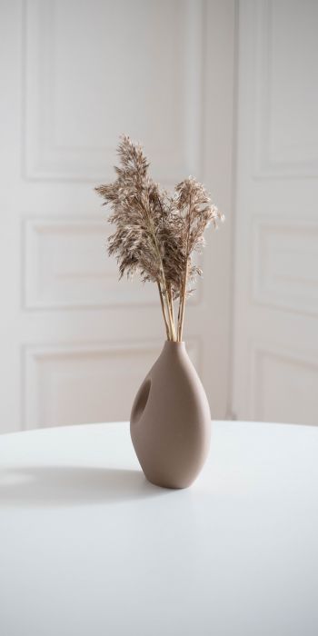 aesthetic beige, interior, vase Wallpaper 720x1440