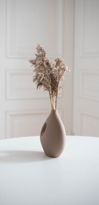 aesthetic beige, interior, vase Wallpaper 1440x2960