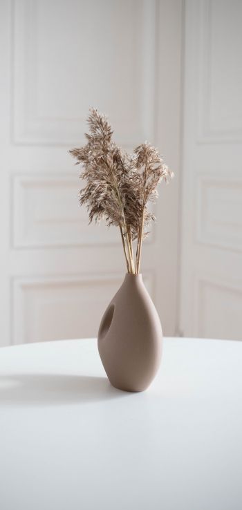 aesthetic beige, interior, vase Wallpaper 1440x3040
