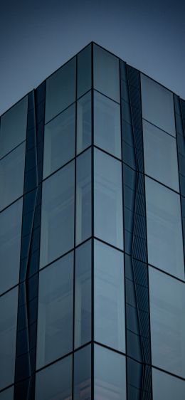 building, blue, dark Wallpaper 828x1792