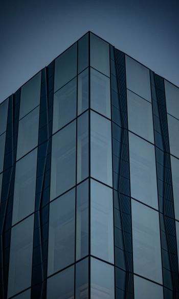 building, blue, dark Wallpaper 1200x2000
