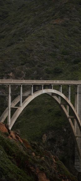 bridge, landscape, green Wallpaper 1440x3200