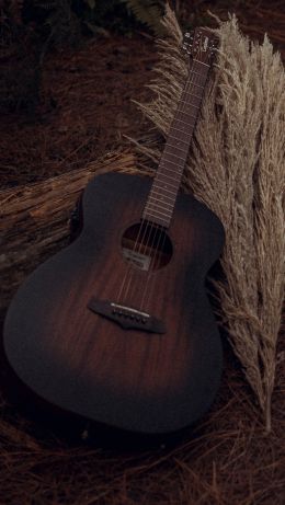 musical instrument, guitar, brown Wallpaper 640x1136