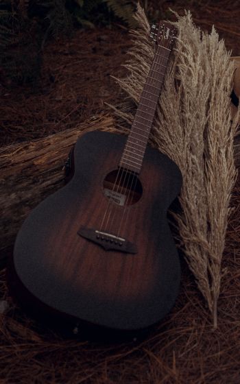 musical instrument, guitar, brown Wallpaper 800x1280