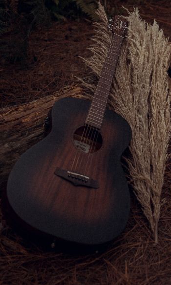 musical instrument, guitar, brown Wallpaper 1200x2000