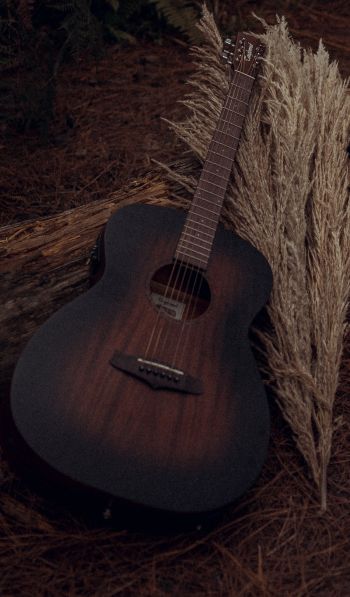 musical instrument, guitar, brown Wallpaper 600x1024