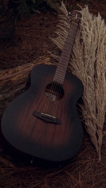 musical instrument, guitar, brown Wallpaper 640x1136