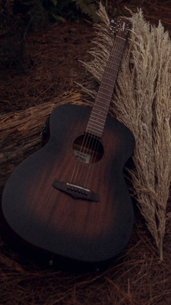 musical instrument, guitar, brown Wallpaper 720x1280