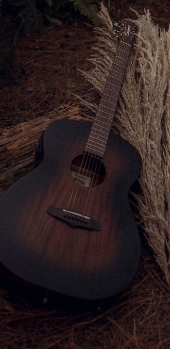 musical instrument, guitar, brown Wallpaper 1080x2220