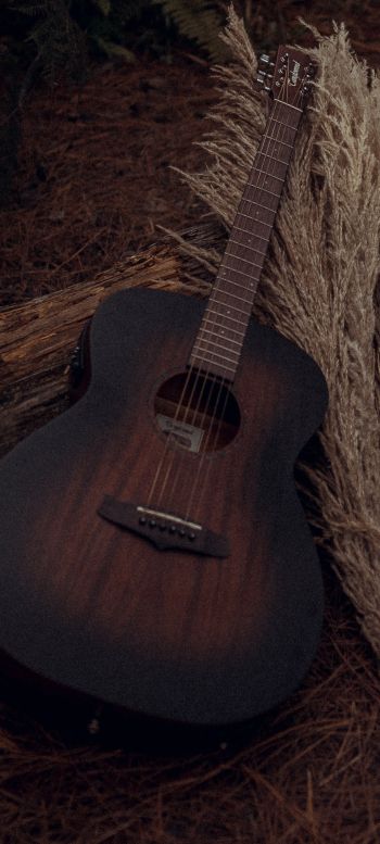 musical instrument, guitar, brown Wallpaper 1080x2400