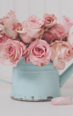 pink roses, bouquet of roses Wallpaper 1752x2800