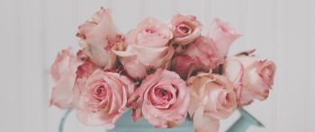 Обои 2560x1080 розовые розы, букет роз