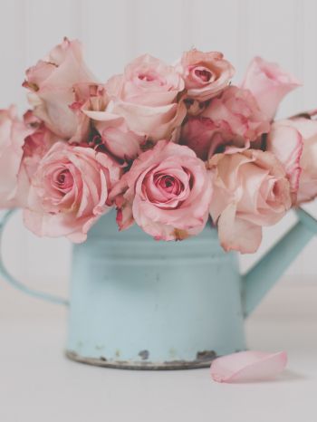 pink roses, bouquet of roses Wallpaper 1668x2224
