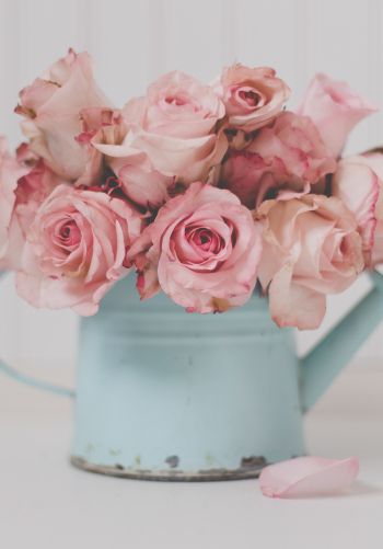 pink roses, bouquet of roses Wallpaper 1668x2388