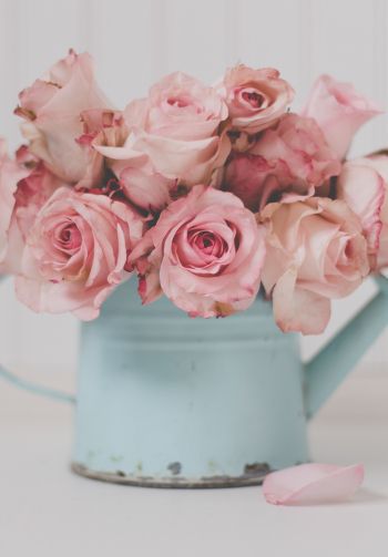 pink roses, bouquet of roses Wallpaper 1640x2360