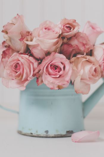 pink roses, bouquet of roses Wallpaper 640x960