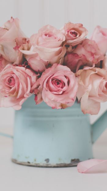 pink roses, bouquet of roses Wallpaper 1440x2560