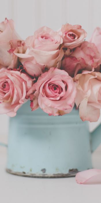 pink roses, bouquet of roses Wallpaper 720x1440