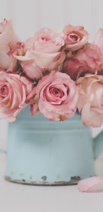 pink roses, bouquet of roses Wallpaper 1440x2960