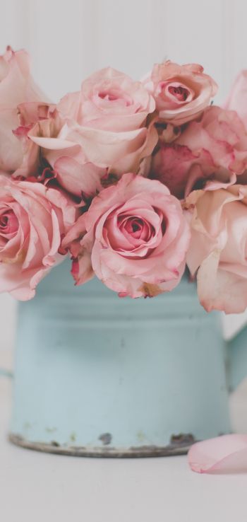 pink roses, bouquet of roses Wallpaper 1080x2280