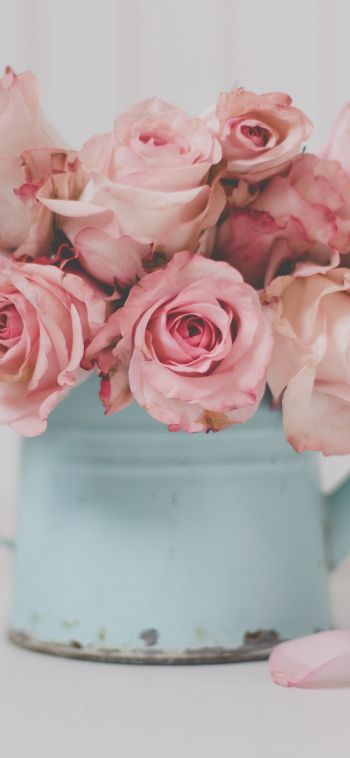 pink roses, bouquet of roses Wallpaper 1080x2340
