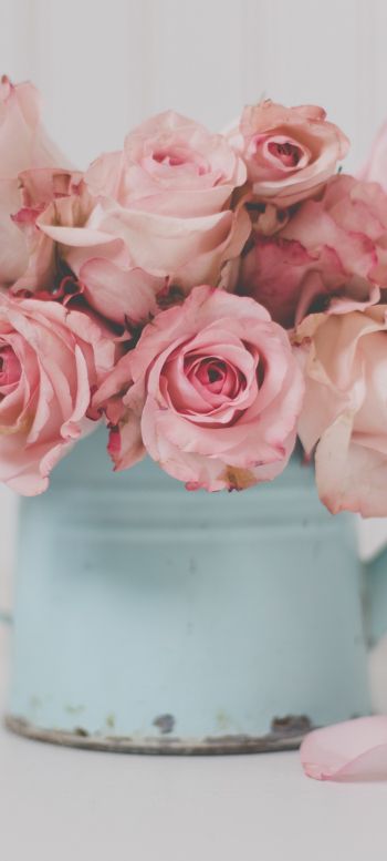 pink roses, bouquet of roses Wallpaper 1080x2400