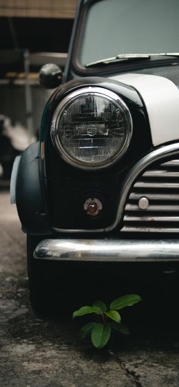 retro car, fara Wallpaper 1170x2532