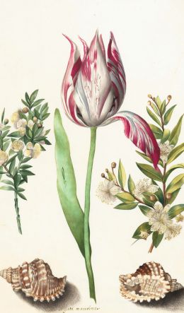 tulip, figure, flower arrangement Wallpaper 600x1024