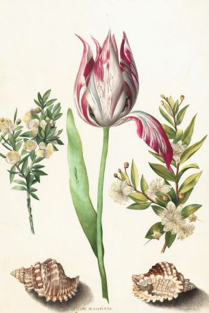 tulip, figure, flower arrangement Wallpaper 640x960