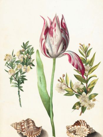tulip, figure, flower arrangement Wallpaper 1620x2160