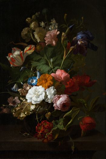 oil painting, flower arrangement, dark Wallpaper 640x960