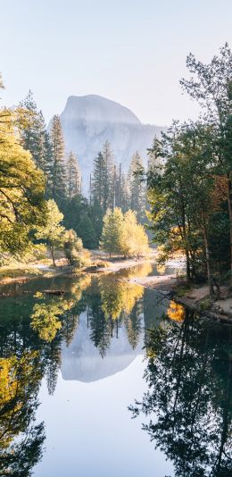 Yosemite Valley, USA, landscape Wallpaper 1080x2220