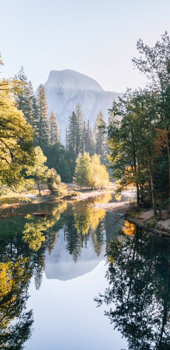 Yosemite Valley, USA, landscape Wallpaper 1080x2220