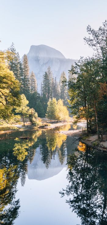 Yosemite Valley, USA, landscape Wallpaper 1080x2280