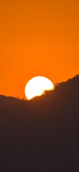 sunset, sun, evening Wallpaper 1080x2340