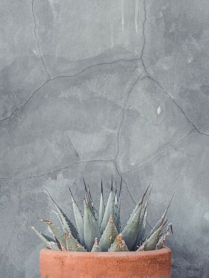 wall, concrete, gray Wallpaper 1620x2160