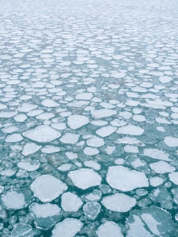 frozen lake, ice, winter Wallpaper 1536x2048