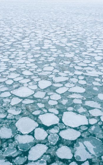 frozen lake, ice, winter Wallpaper 1752x2800