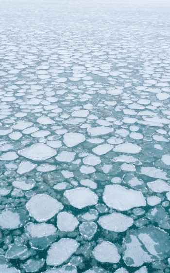 Обои 1600x2560 замерзшее озеро, лед, зима