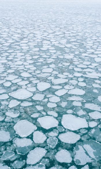 frozen lake, ice, winter Wallpaper 1200x2000