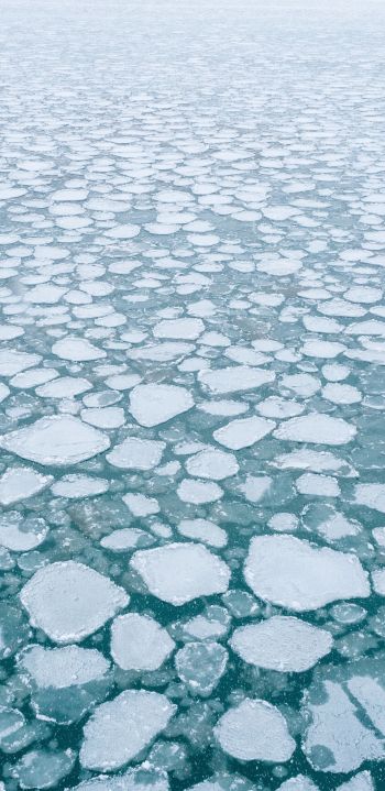 frozen lake, ice, winter Wallpaper 1440x2960