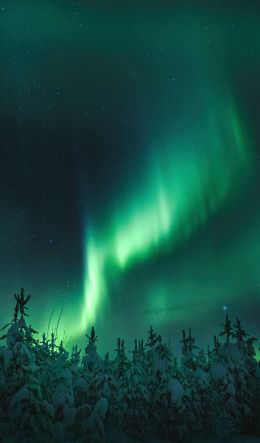 northern lights, night, green Wallpaper 600x1024