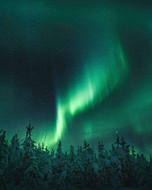 northern lights, night, green Wallpaper 4537x5671
