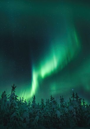 northern lights, night, green Wallpaper 1668x2388