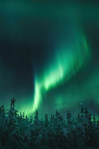 northern lights, night, green Wallpaper 640x960