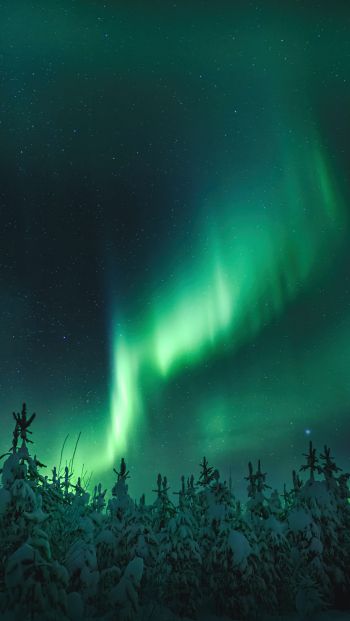 northern lights, night, green Wallpaper 640x1136