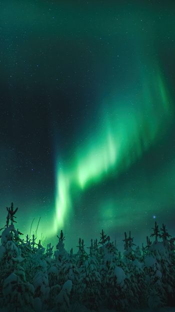 northern lights, night, green Wallpaper 1080x1920